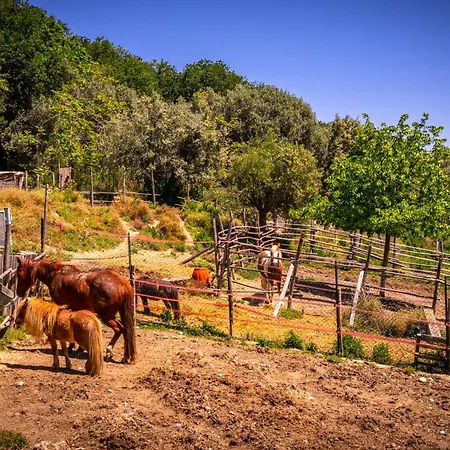 Duchessa - 2 Private With Ensuite Bathrooms