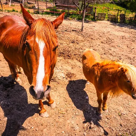 Duchessa - 2 Private With Ensuite Bathrooms Bed & Breakfast