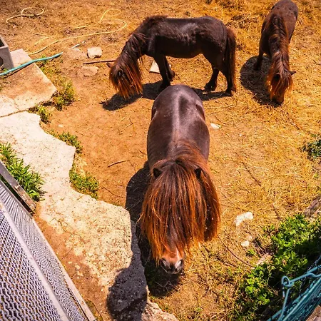 Bed & Breakfast Duchessa - 2 Private With Ensuite Bathrooms